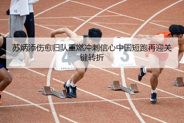 苏炳添伤愈归队重燃冲刺信心中国短跑再迎关键转折