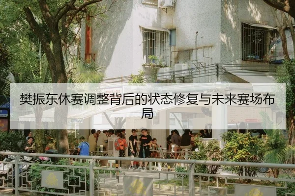 樊振东休赛调整背后的状态修复与未来赛场布局