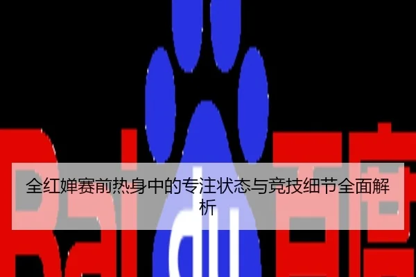 全红婵赛前热身中的专注状态与竞技细节全面解析