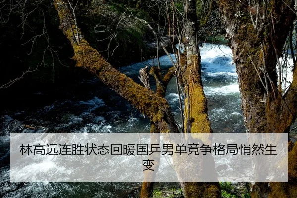 林高远连胜状态回暖国乒男单竞争格局悄然生变