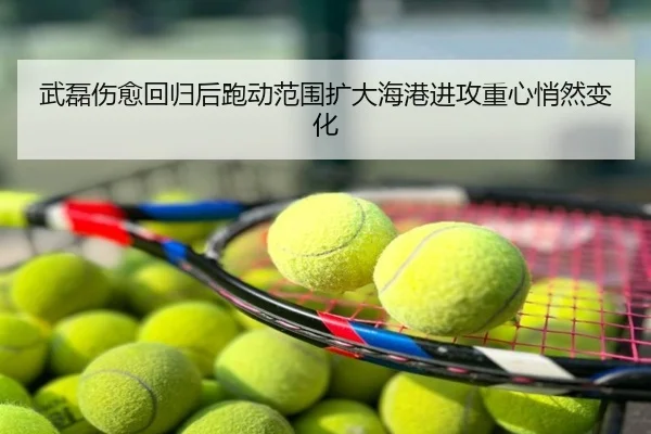 武磊伤愈回归后跑动范围扩大海港进攻重心悄然变化