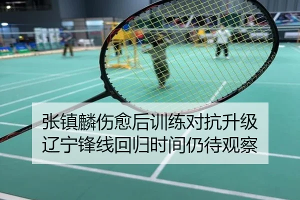 张镇麟伤愈后训练对抗升级 辽宁锋线回归时间仍待观察
