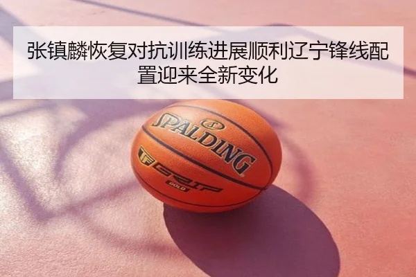张镇麟恢复对抗训练进展顺利辽宁锋线配置迎来全新变化